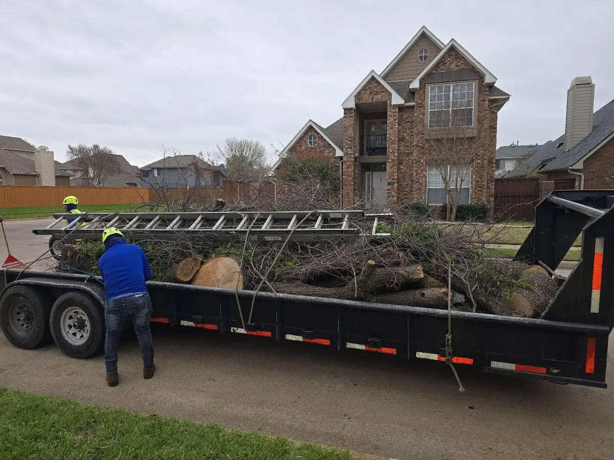 Expert Lot Clearing with proper safety equipment in Wilton